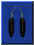 8.jpg (9599 bytes)