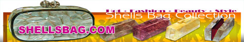 Fashion Shells Bag, Handbags Manufacturer