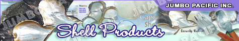 Shell Products, Seashell accessories