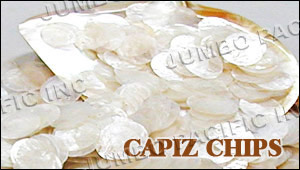 capiz shells chips