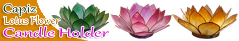 lotusflowerbanner