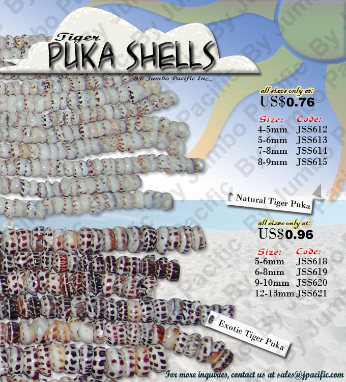 tiger puka shell