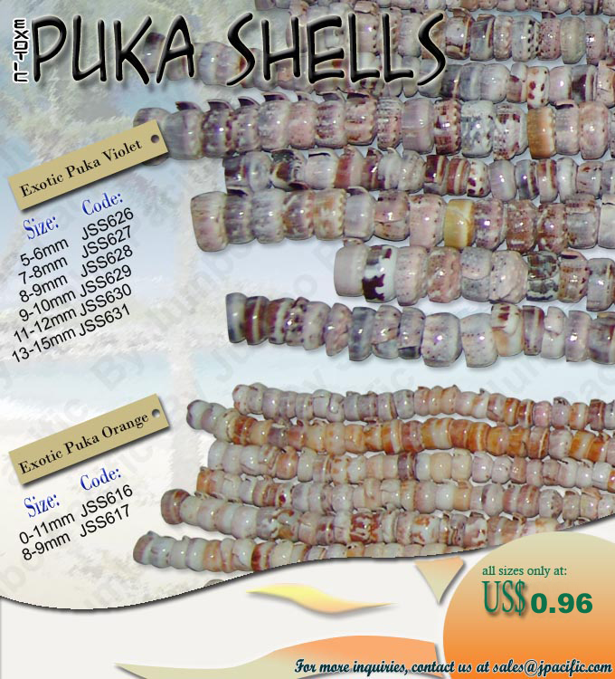 puka shell colelction Philippines