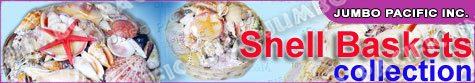 shell baskets home decors